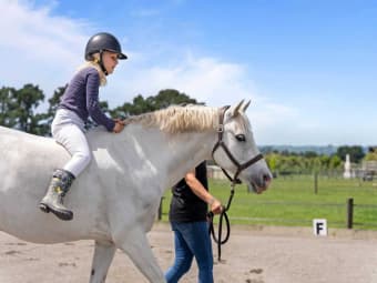 324 Norfolk Road, Waingawa, Wellington