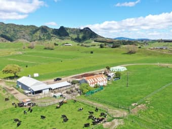 19 Te Wakanui Road, Tirohanga, Bay of Plenty
