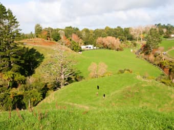 562 Frankley Road, Hurworth, Taranaki