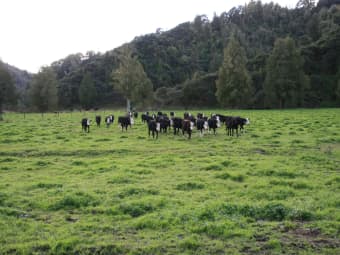  Mangaonga Road, Ahititi, Taranaki