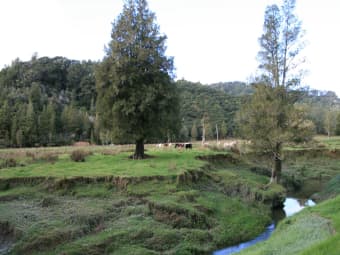  Mangaonga Road, Ahititi, Taranaki