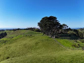 1190 Awhitu Road, Pollok, Auckland