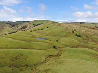 1137 Wimbledon Road, Porangahau, Hawke's Bay