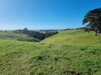 1190 Awhitu Road, Pollok, Auckland