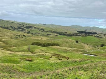 1137 Wimbledon Road, Porangahau, Hawke's Bay