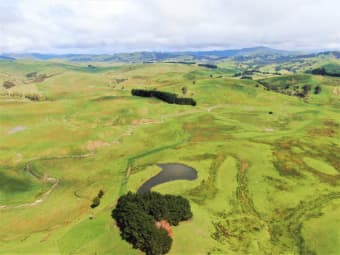 1137 Wimbledon Road, Porangahau, Hawke's Bay
