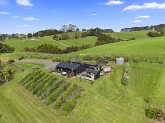 62 Pampas Lane, Te Arai, Auckland