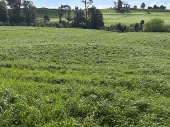 0pp/379 Corbett Road, Lepperton, Taranaki