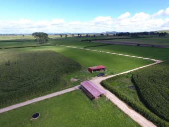  Matuku Road, Morrinsville, Waikato