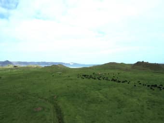  Sandhills Rd, Ahipara, Northland