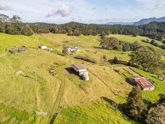 109 Paponga Road, Broadwood, Northland