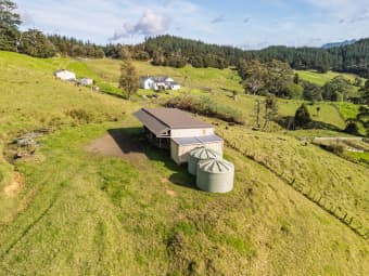 109 Paponga Road, Broadwood, Northland