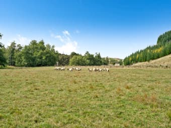 739 Matahiwi Road, Matahiwi, Wellington