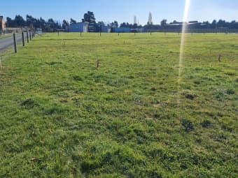 31 Meadowlands Green, Allenton, Canterbury