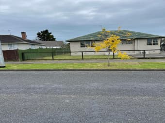 135 Taniwha Street, Glen Innes, Auckland