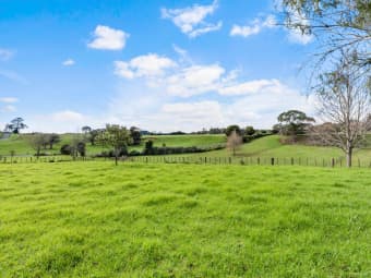 87 Pukeoware Road, Waiuku, Auckland