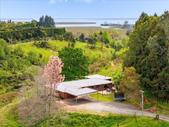 1538 State Hwy 2, Whakamarama, Bay of Plenty
