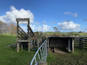  Ladys Mile, Eltham, Taranaki