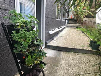 3/131 Williamson Avenue, Grey Lynn, Auckland