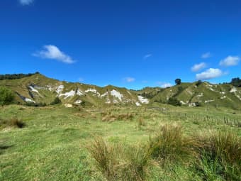 847 Uruti Road, Uruti, Taranaki