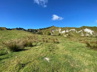 847 Uruti Road, Uruti, Taranaki