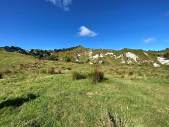 847 Uruti Road, Uruti, Taranaki