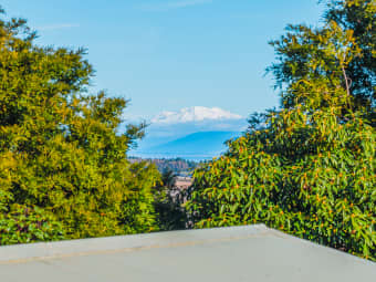 101 Shepherd Rd, Waipahihi, Waikato