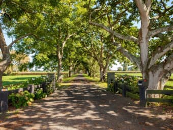 Lot 1 And 3/441 Taihoa South Road, Matamata, Waikato