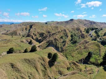 207 Mangatuna Road, Weber, Manawatu-Wanganui