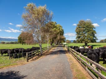 Lot 1 And 3/441 Taihoa South Road, Matamata, Waikato