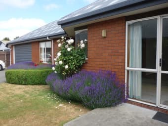 11A Bentley Street, Russley, Canterbury