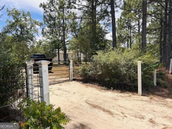 424 Moores Chapel Road, Mauk, GA, 31058