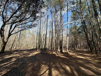 TBD Union Church Road, Salters, SC, 29590