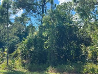 299 Troutdale Street, Port Charlotte, FL, 33954