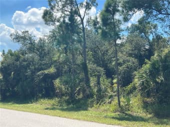 299 Troutdale Street, Port Charlotte, FL, 33954