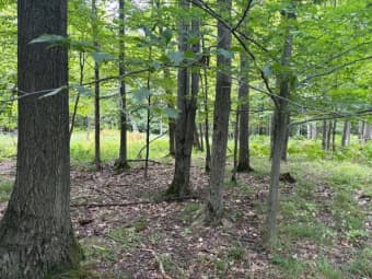  Flarity Road, Brethren, MI, 49619