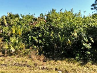 Silverleaf Rd, North Port, FL, 34288