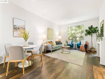 213/260 Caldecott Ln, Oakland, CA, 94618