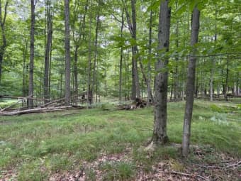  Flarity Road, Brethren, MI, 49619