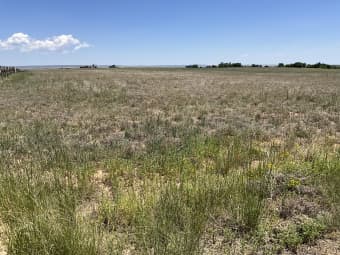 45 Roach Road, Stanley, NM, 87056