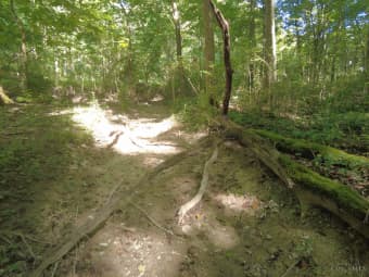 16 Black Hollow Road, Rarden, OH, 45671