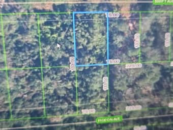 234 Swift Avenue, Sebring, FL, 33870