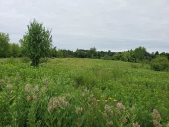 xxx Park Avenue West, Almena, WI, 54805