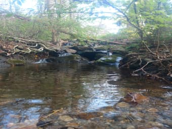 92 Wright Rd, Hartford County, CT, 06019