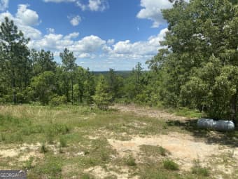 6842 Ronnie Road, Box Springs, GA, 31801
