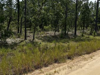137 Beulah Drive, Hawthorne, FL, 32640