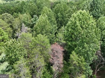 3 Hollywood Church Road, Clarkesville, GA, 30523