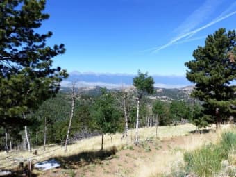 1320 Engelman Rd, Westcliffe, CO, 81252