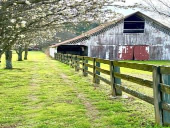 13560 Columbia Highway, Lynnville, TN, 38472