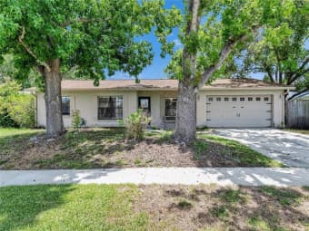 15820 Sapwood Street, Northdale, FL, 33624